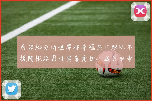 白岩松分析世界杯夺冠热门球队不提阿根廷因对其喜爱担心成贝利命运
