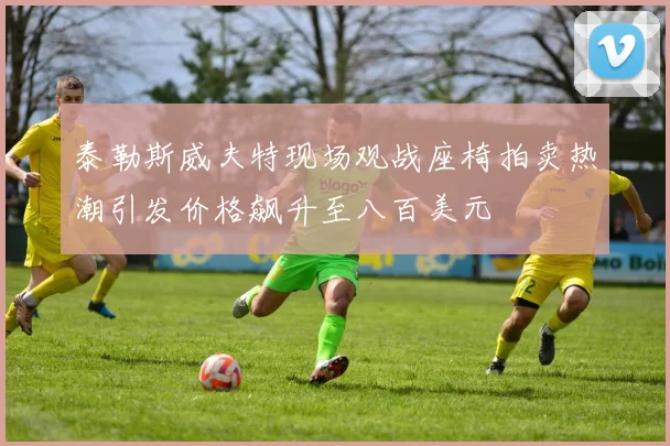 泰勒斯威夫特现场观战座椅拍卖热潮引发价格飙升至八百美元