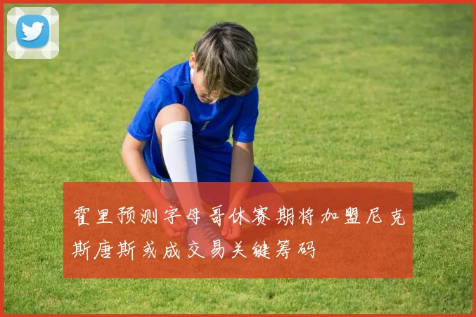 霍里预测字母哥休赛期将加盟尼克斯唐斯或成交易关键筹码